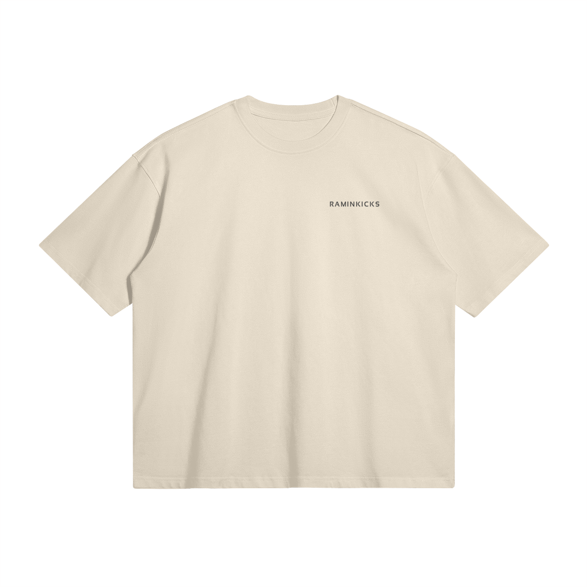 Basic T-Shirt product photo - Front View